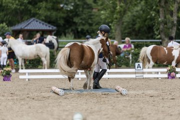 Bild 205 - Pony Akademie Turnier